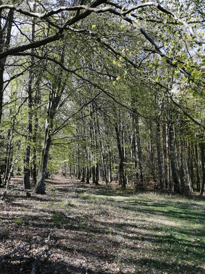 Penzion Uhliska A Depandance Gazdovsky Dom Nemsova Luaran gambar